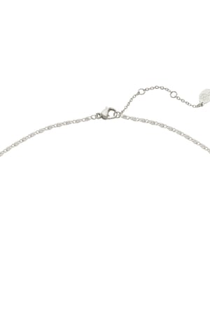 Ketting Head Up Zilver Stainless Steel h5 Afbeelding3
